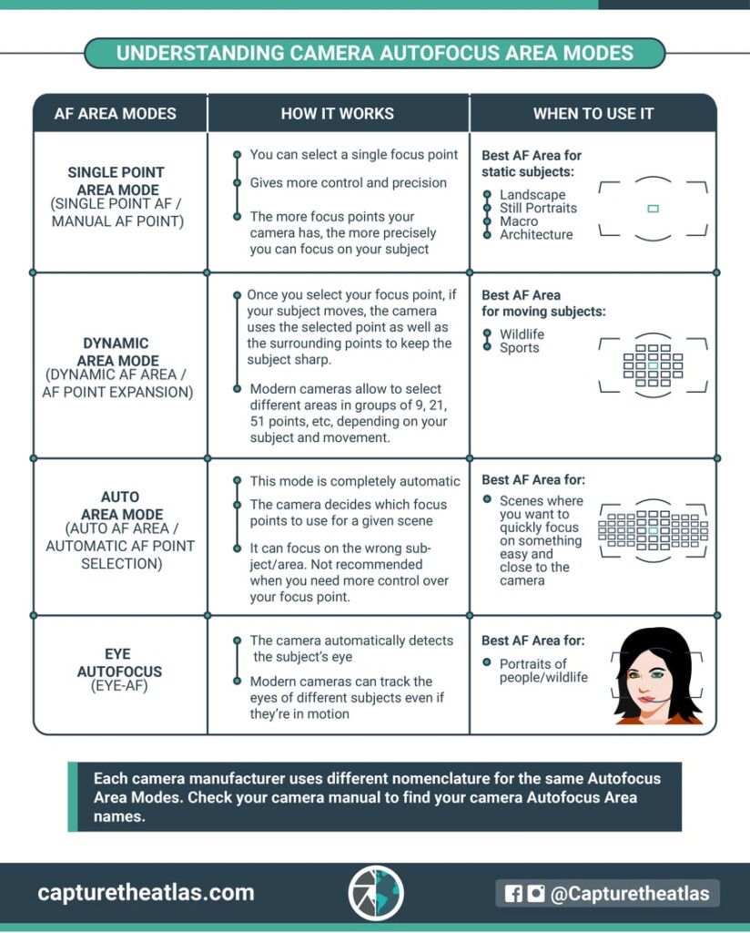 Camera Focus Modes: What They Are & When To Use Them - The Photo Method