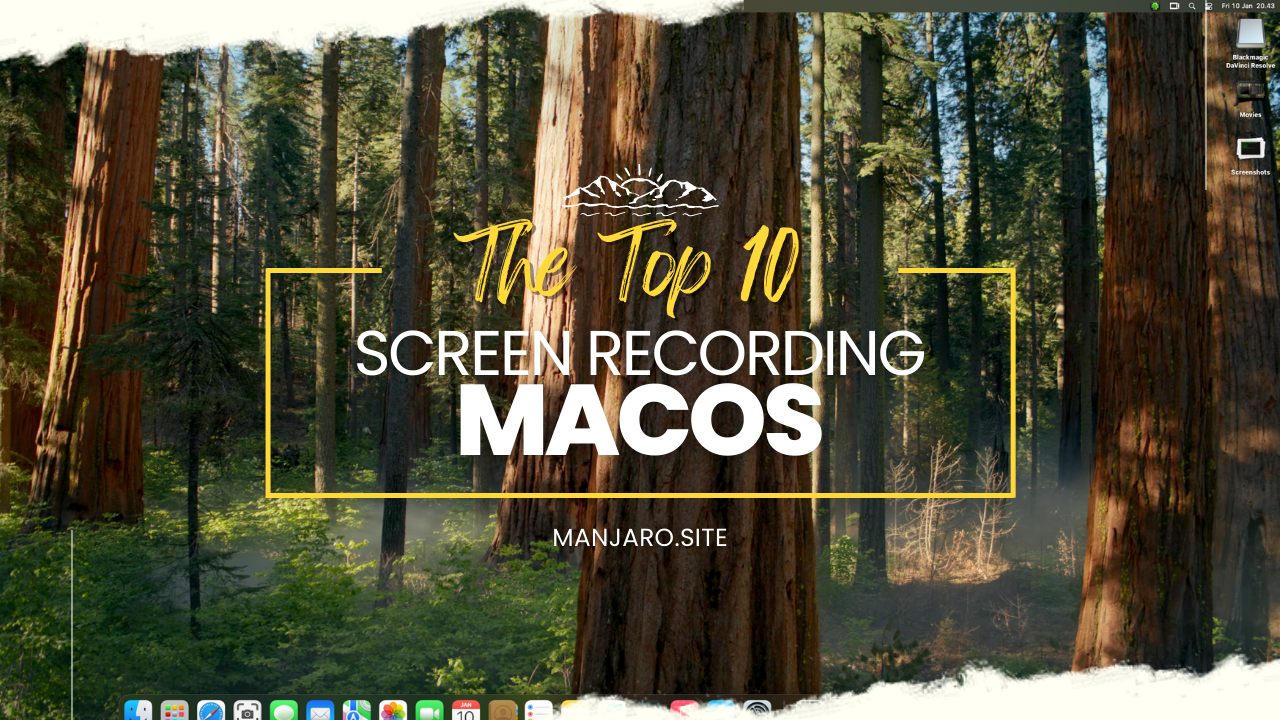 The Top 10 screen recording software - Manjaro dot site